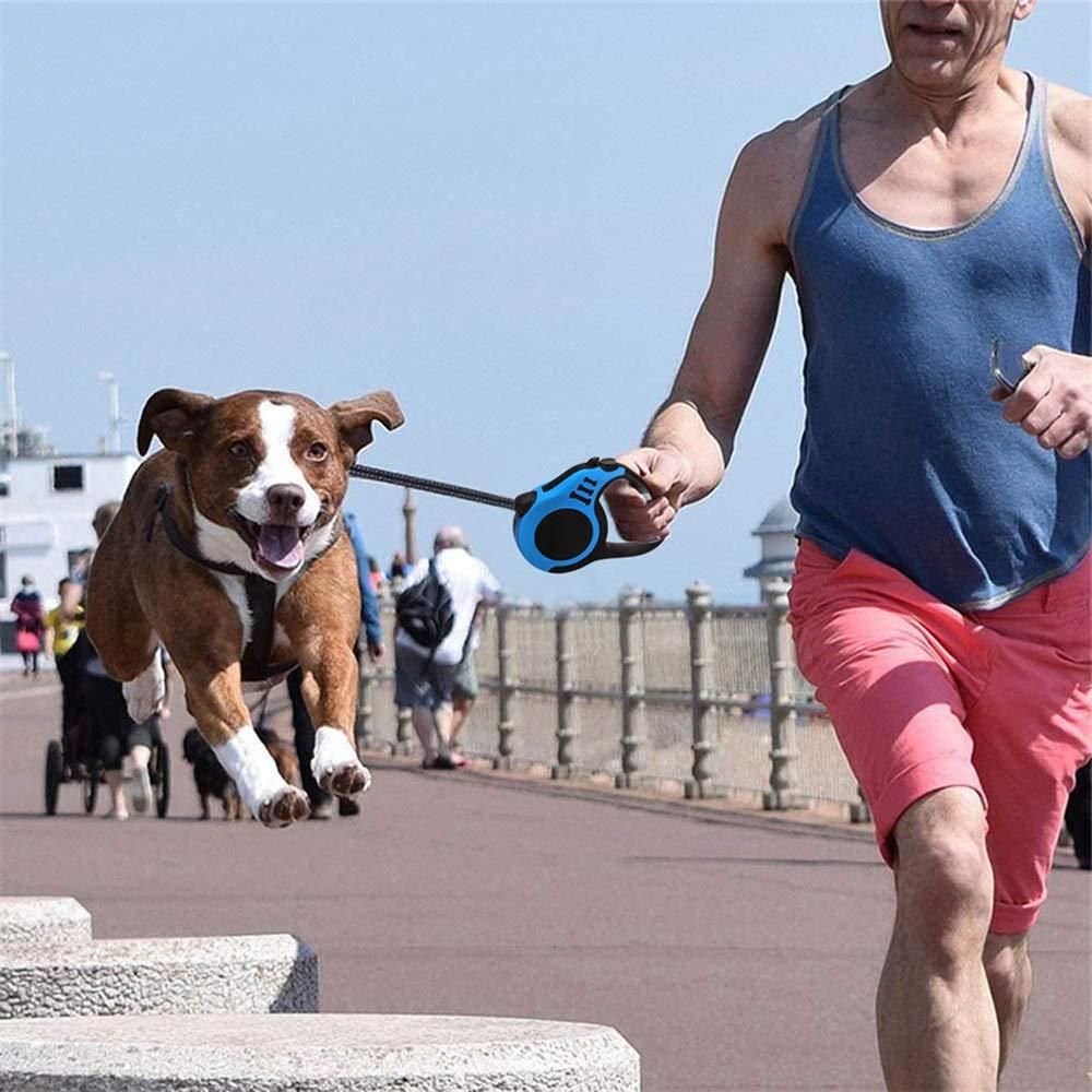Man jogging on boardwalk holding retractable 500 cm pet leash multicolor with happy jumping dog